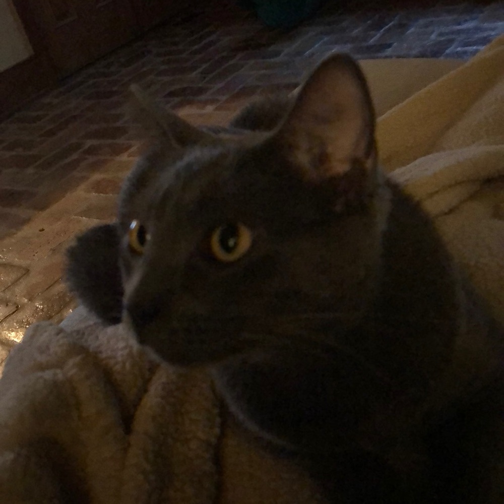 Meet your Posher, Jenny